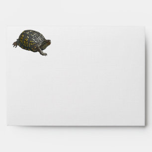Envelope Eastern Box Turtle