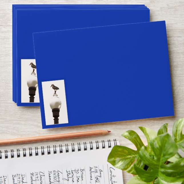 Envelope - Heron on Light Post (Stacked)