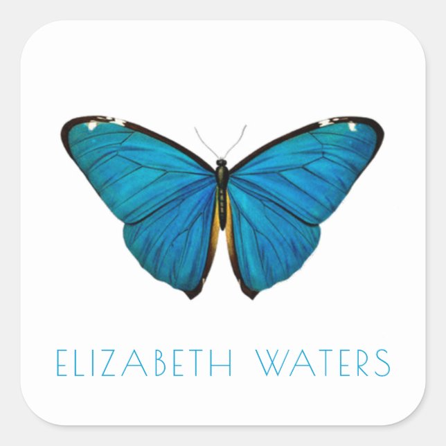 ENVELOPE SEAL STICKER : BLUE BUTTERFLY (Front)