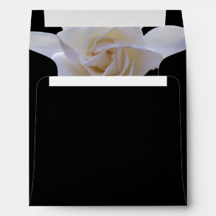 Envelopes - Gardenia on Black