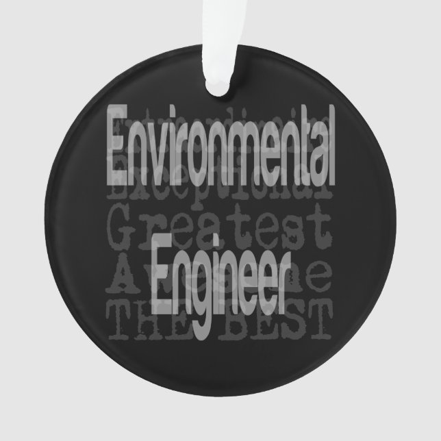 Environmental Engineer Extraordinaire Ornament (Front)