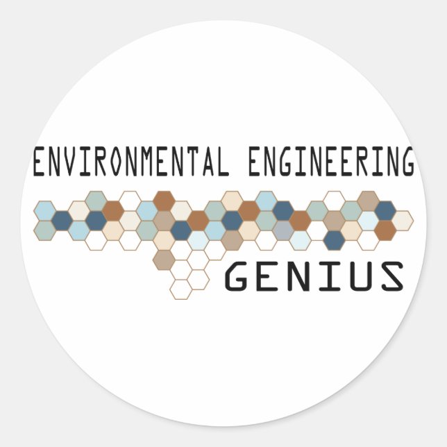 Environmental Engineering Genius Classic Round Sticker (Front)