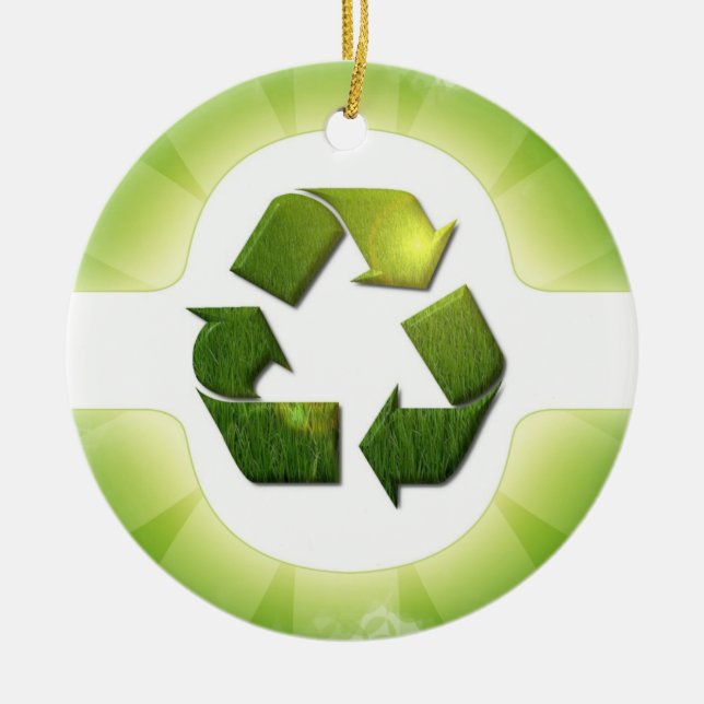 Environmental Issues Ornament (Front)