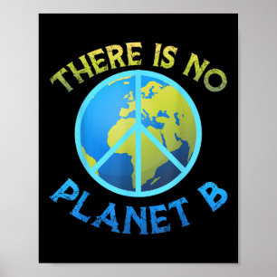 Environmental Protection, Peace Earth, There Is No Poster