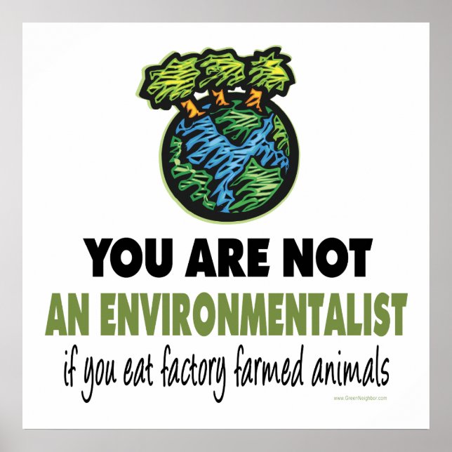 Environmentalist = Vegan, Vegetarian Poster (Front)