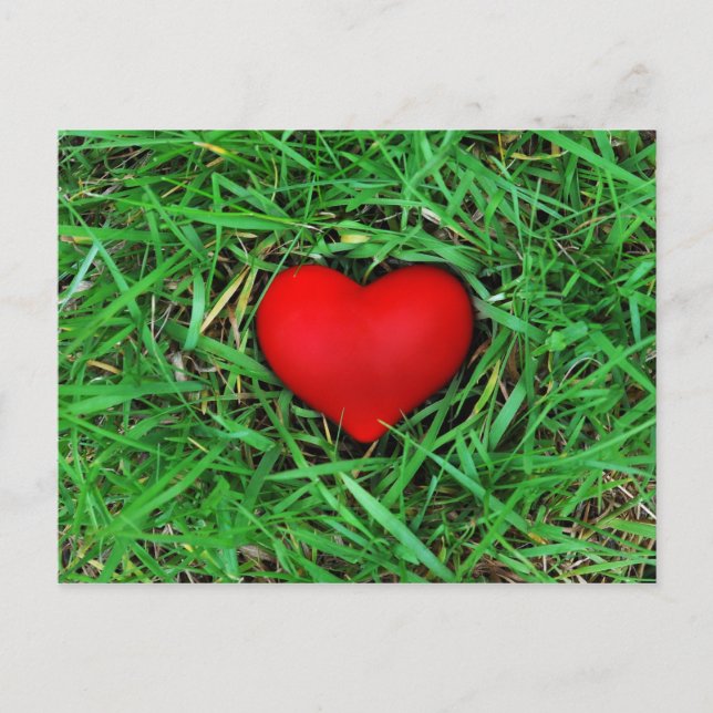 Environmentally friendly love - Postcard (Front)