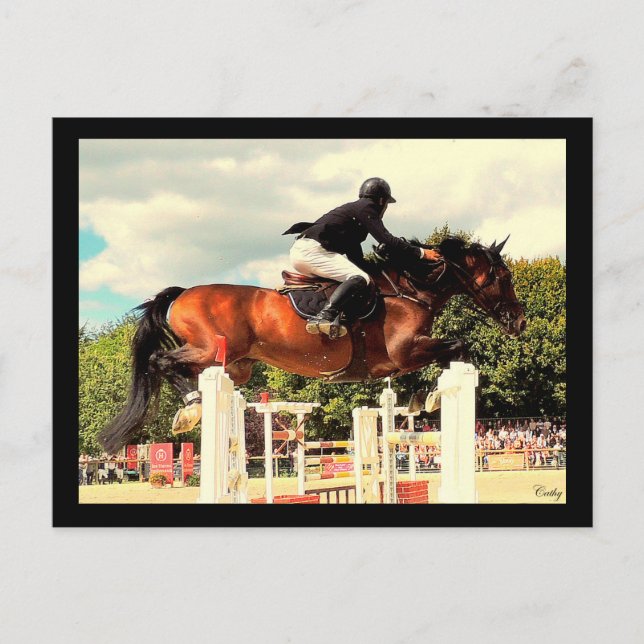 Envol Postcard (Front)