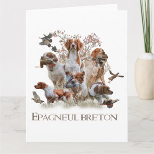 Epagneul Breton, Brittany Spaniel   Card