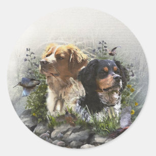 Epagneul Breton, Brittany Spaniel   Classic Round Sticker