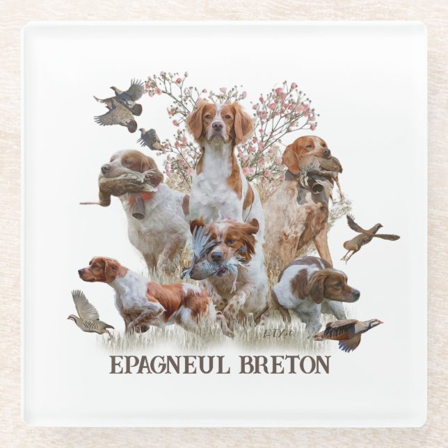 Epagneul Breton, Brittany Spaniel      Glass Coaster (Front)