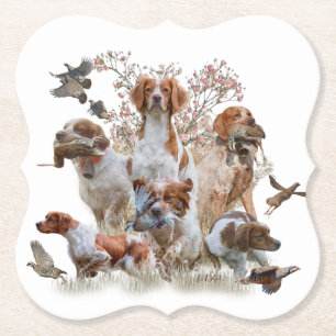 Epagneul Breton, Brittany Spaniel Paper Coaster