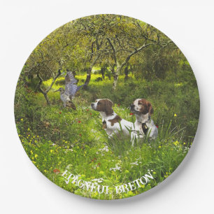 Epagneul Breton, Brittany Spaniel      Paper Plate
