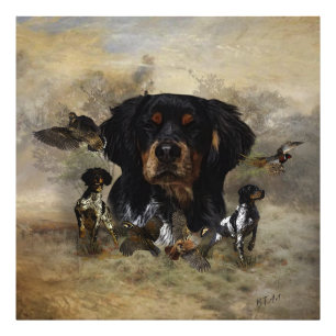 Epagneul Breton, Brittany Spaniel   Photo Print