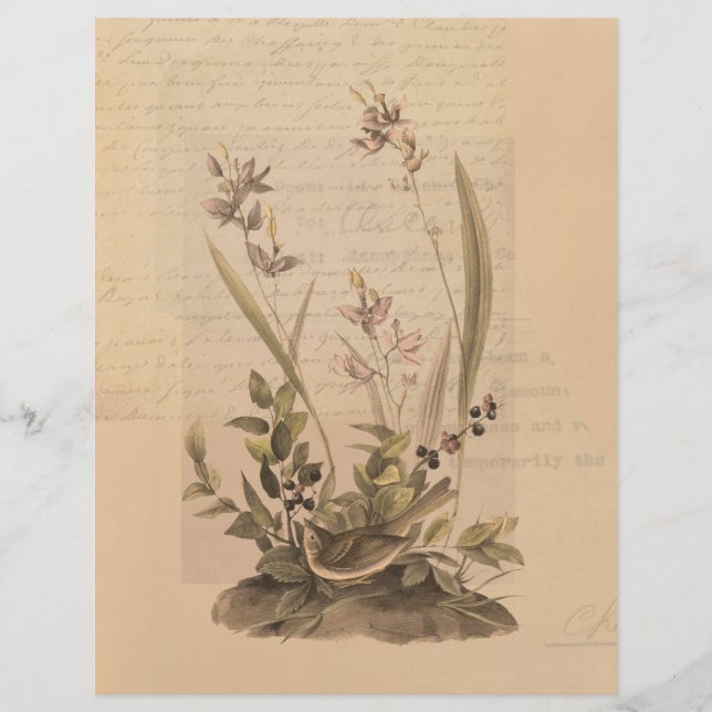 Ephemera 5 Scrapbook Paper (Front)