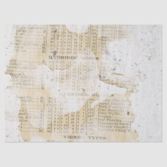 Ephemera Distressed Paper Series Design 3 (Front)