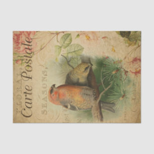 Ephemera French Postcard Birds Floral Decoupage  Tissue Paper