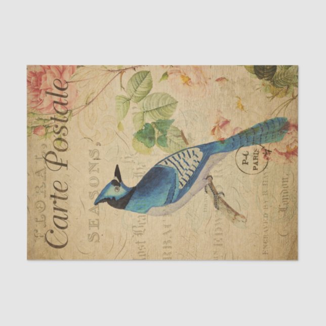 Ephemera French Postcard Blue Jay Bird Decoupage Tissue Paper (Front)