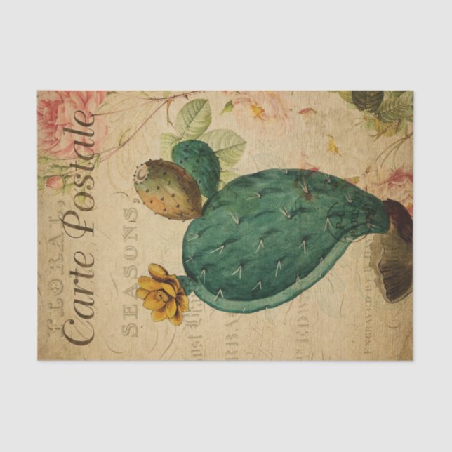 Ephemera French Postcard Cacti Plant Decoupage Tissue Paper (Front)