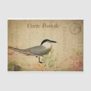 Ephemera French Postcard Cute Bird Decoupage Tissue Paper