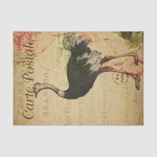 Ephemera French Postcard Ostrich Decoupage Tissue Paper (Front)