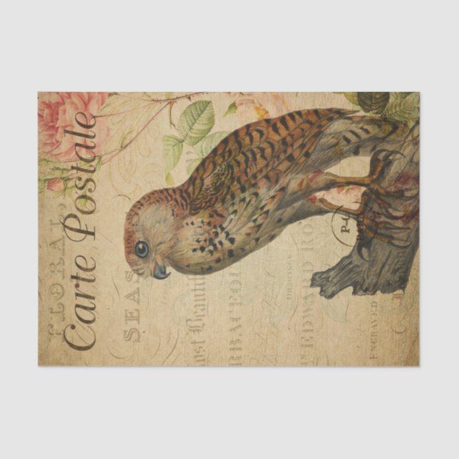 Ephemera French Postcard Owl on Branch Decoupage Tissue Paper (Front)