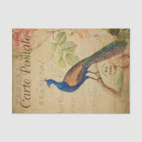 Ephemera French Postcard Peacock Decoupage