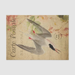 Ephemera French Postcard Tern Bird Decoupage Tissue Paper