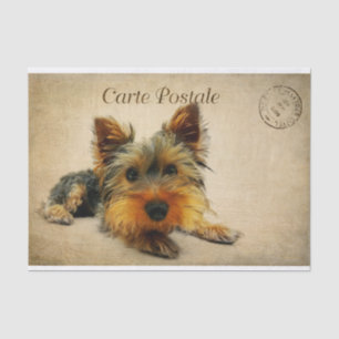 Ephemera French Postcard Terrier Dog Decoupage Tissue Paper