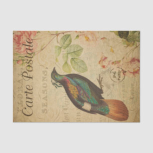 Ephemera Himalayan Monal Pheasant Bird Decoupage Tissue Paper