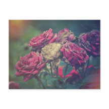 Ephemera Journal Craft Postcard Roses