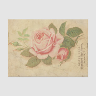 Ephemera Sheet Design Series #10