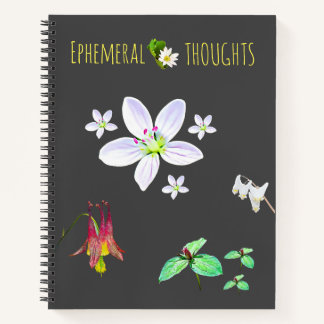 Ephemeral Thoughts Blank Notebook