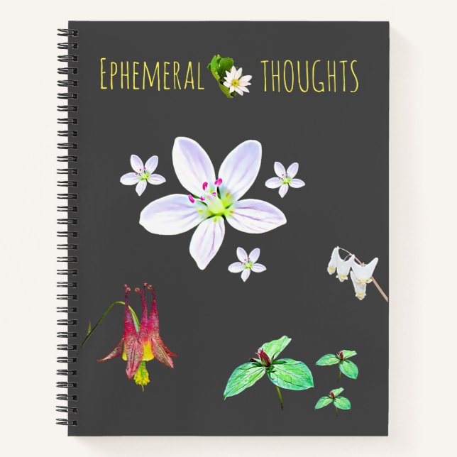 Ephemeral Thoughts Blank Notebook (Front)