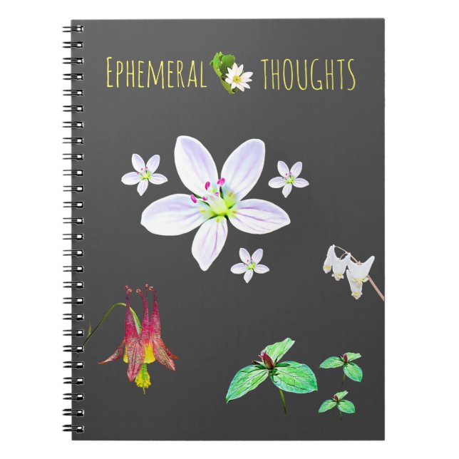 Ephemeral Thoughts Blank Notebook (Front)