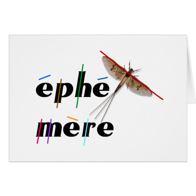 éphémère instantané (Front Horizontal)