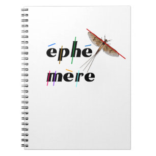 éphémère instantané notebook