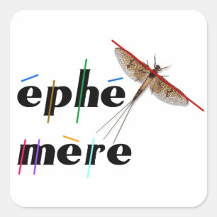 éphémère instantané square sticker