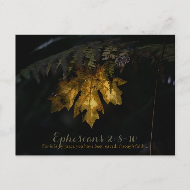 Ephesians Postcard (Front)