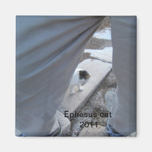 Ephesus Cat Magnet