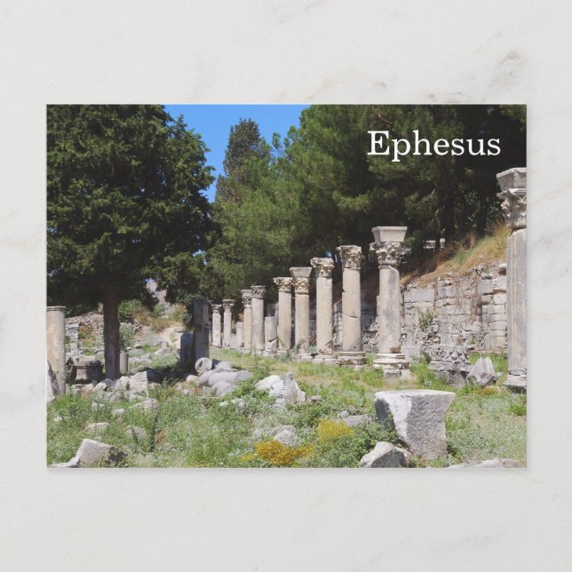 Ephesus, Turkey Postcard (Front)