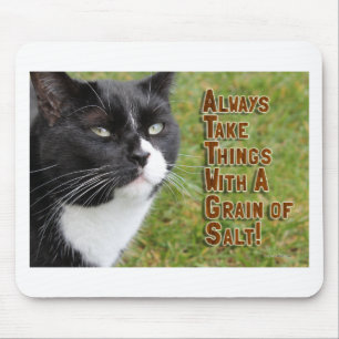 Epic Advice from a Cat Mouse Pad