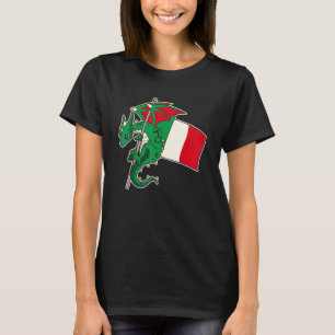 Epic Italian Dragon Proud Italy Flag T-Shirt