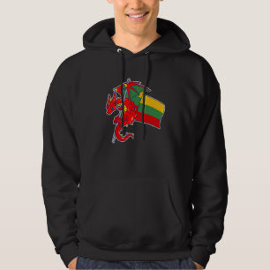 Epic Lithuanian Dragon  Proud Lithuania Flag Hoodie