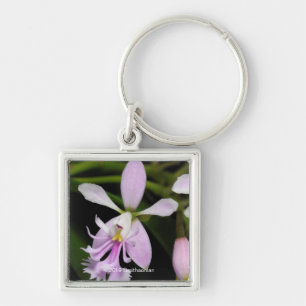 Epidendrum caligarium key ring