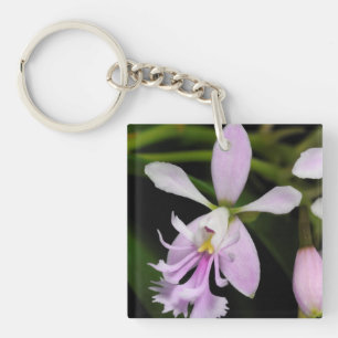 Epidendrum caligarium key ring
