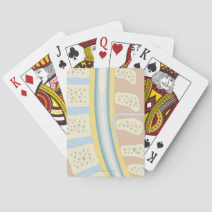 Epidural Anaesthesia Playing Cards