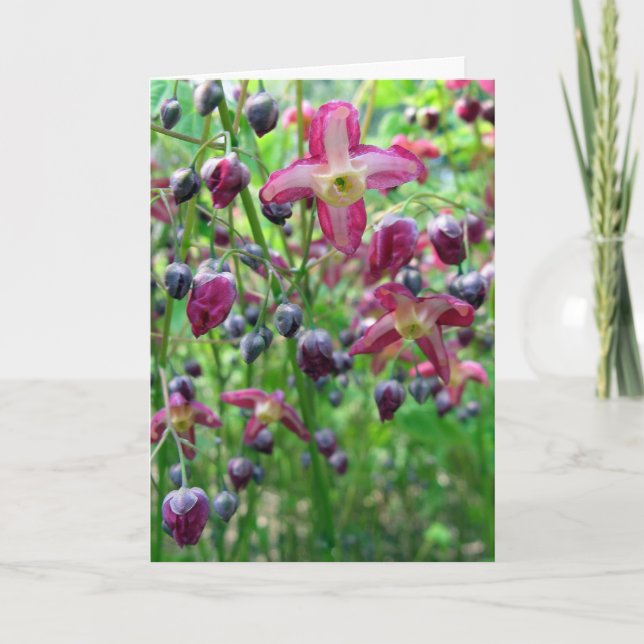 Epimedium Flowers Birthday Card (Front)