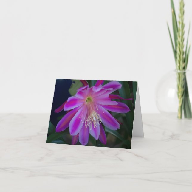 Epiphyllum blank card (Front)