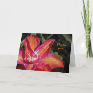 Epiphyllum Thank You Card