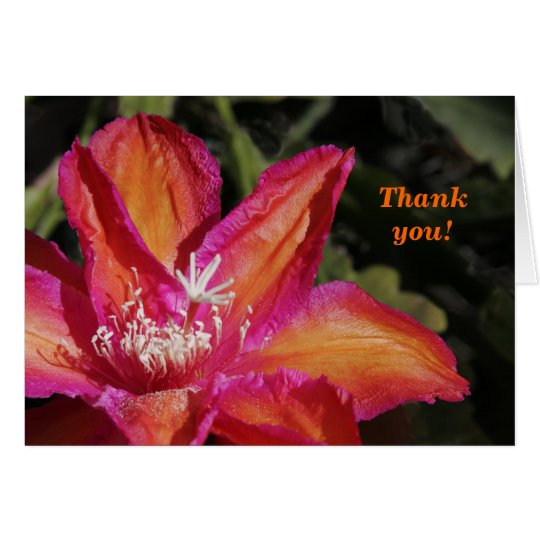 Epiphyllum Thank You Card